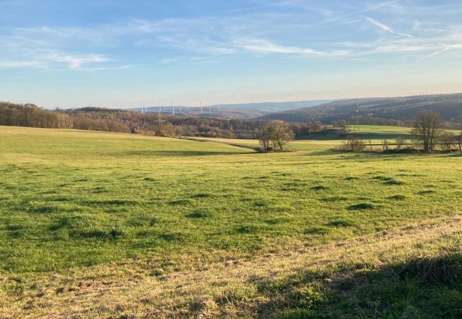 Ferienwohnung Inmitten Der Natur Mit Sauna Steinau an der Strasse Exterior photo