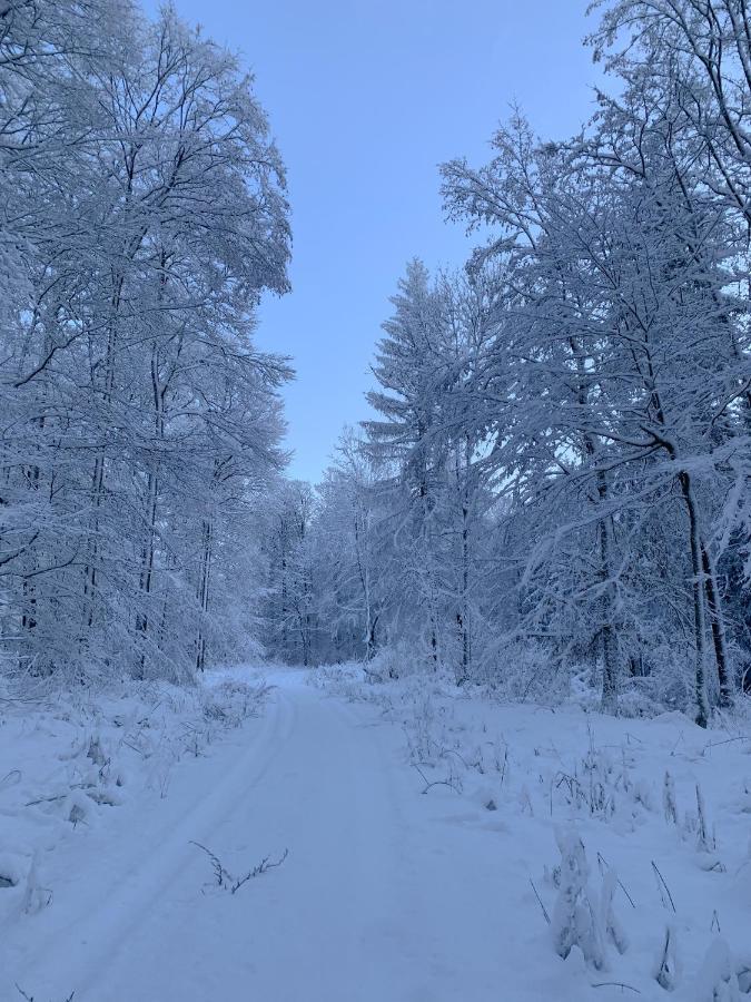 Ferienwohnung Inmitten Der Natur Mit Sauna Steinau an der Strasse Exterior photo